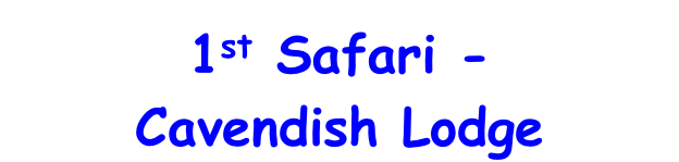 1st Safari - Cavendish Lodge